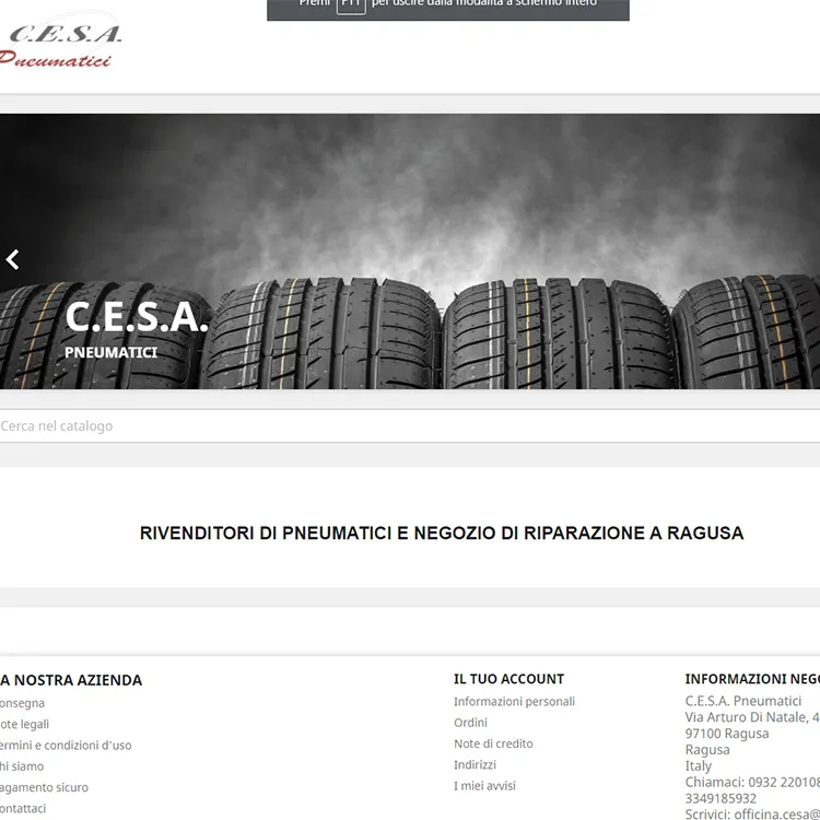 E-commerce B2B Cesa Pneumatici